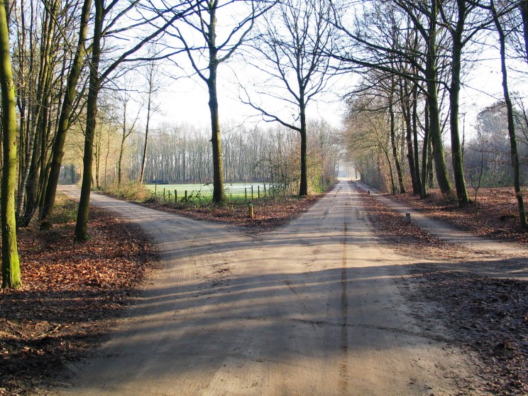 Het spoor bijster